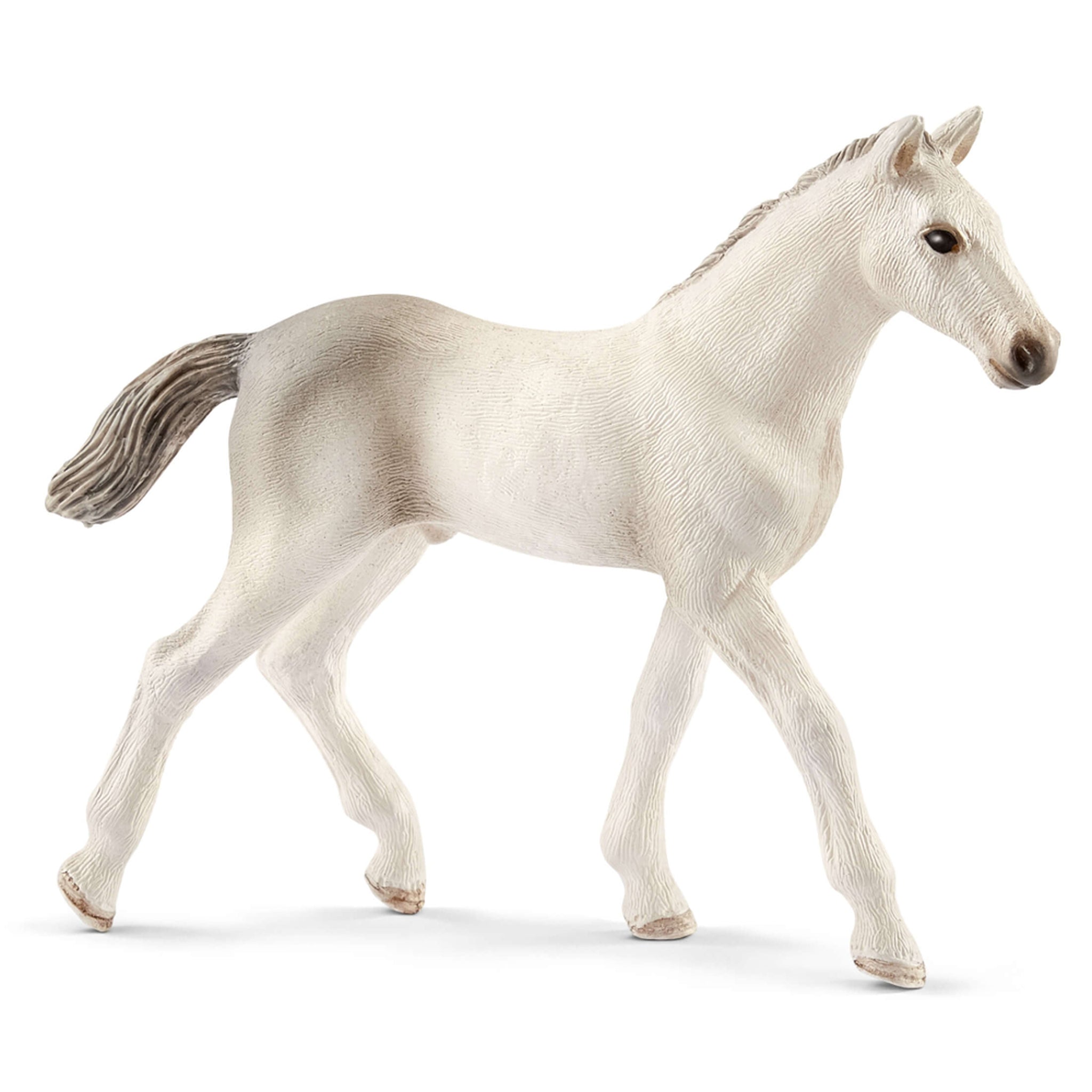 Schleich lipizzaner hot sale foal